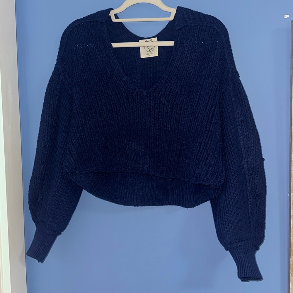 Free People Cropped Sweater